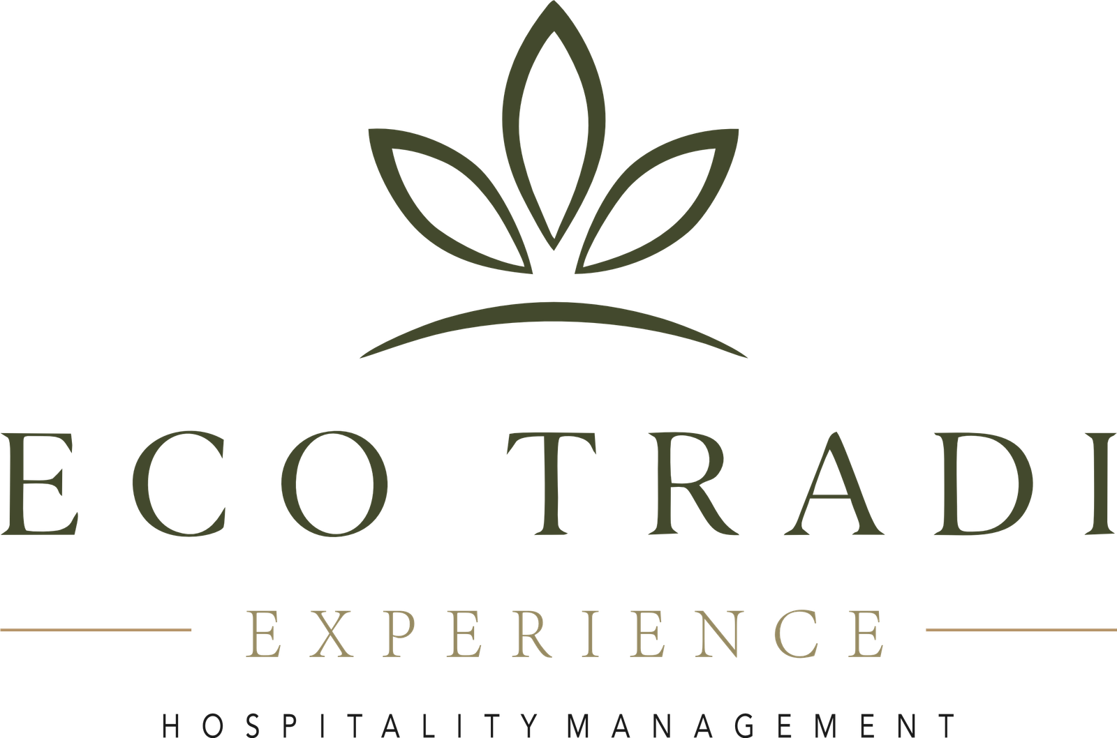 Eco Tradi Logo